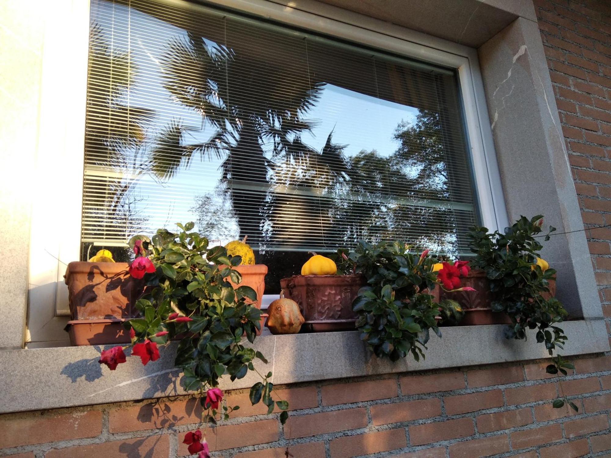 Apartament Casa Via Castelmonte Cividale del Friuli Zewnętrze zdjęcie